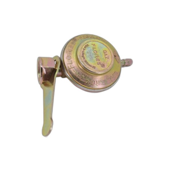 Ceas regulator butelie din bronz cu cheie