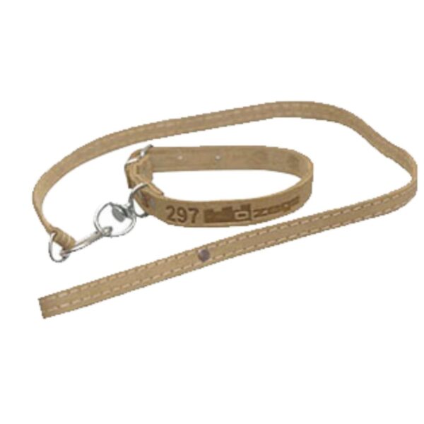Curea pentru caine din piele cu lesa Nr.297 (1.5CMx90CM)